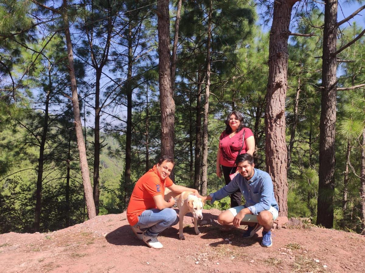 The Asgard Kasauli Bed and Breakfast Εξωτερικό φωτογραφία
