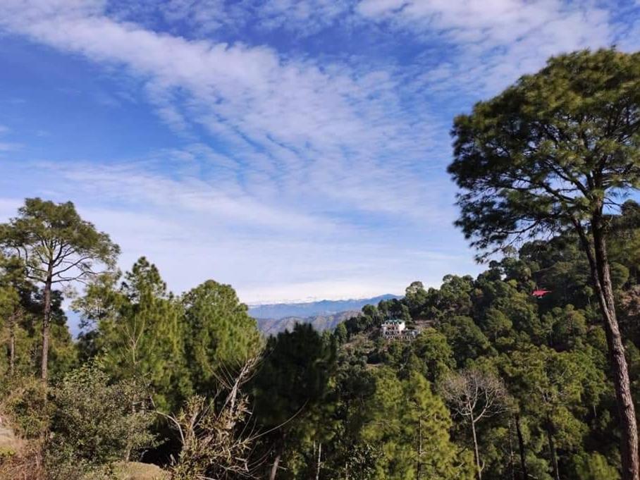 The Asgard Kasauli Bed and Breakfast Εξωτερικό φωτογραφία