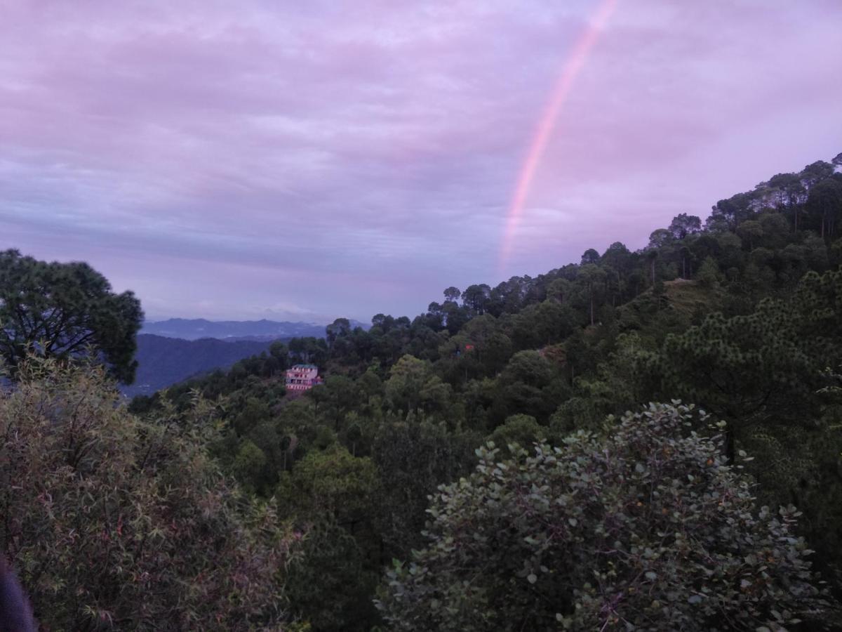 The Asgard Kasauli Bed and Breakfast Εξωτερικό φωτογραφία