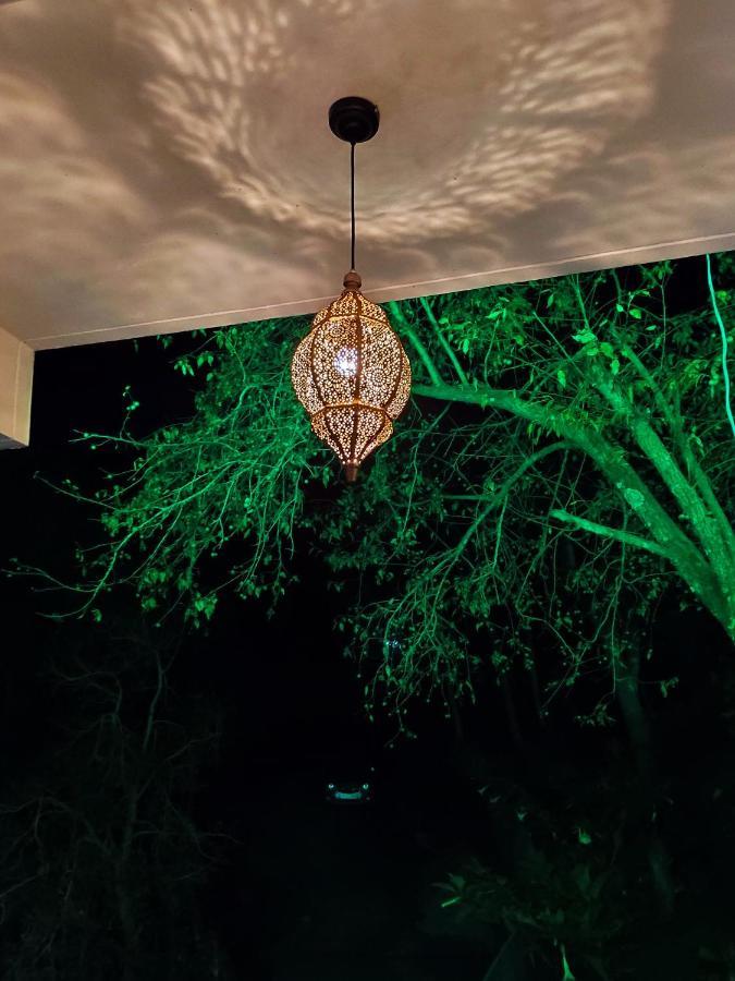 The Asgard Kasauli Bed and Breakfast Εξωτερικό φωτογραφία